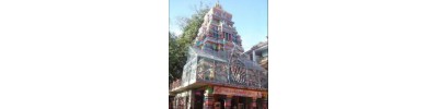 ரிஷிகேஷ்